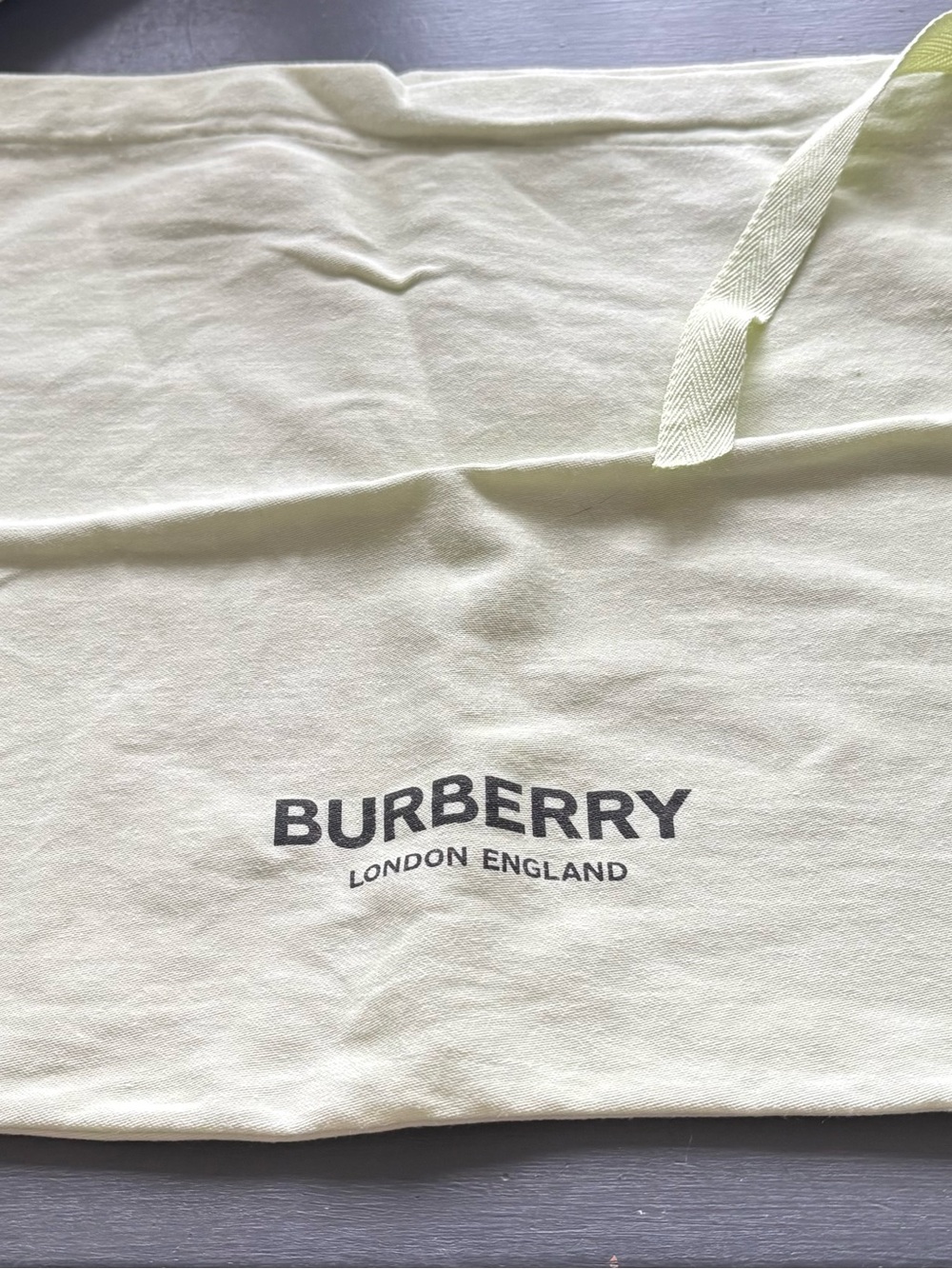 Burberry Logo Dust Bag with Black Print